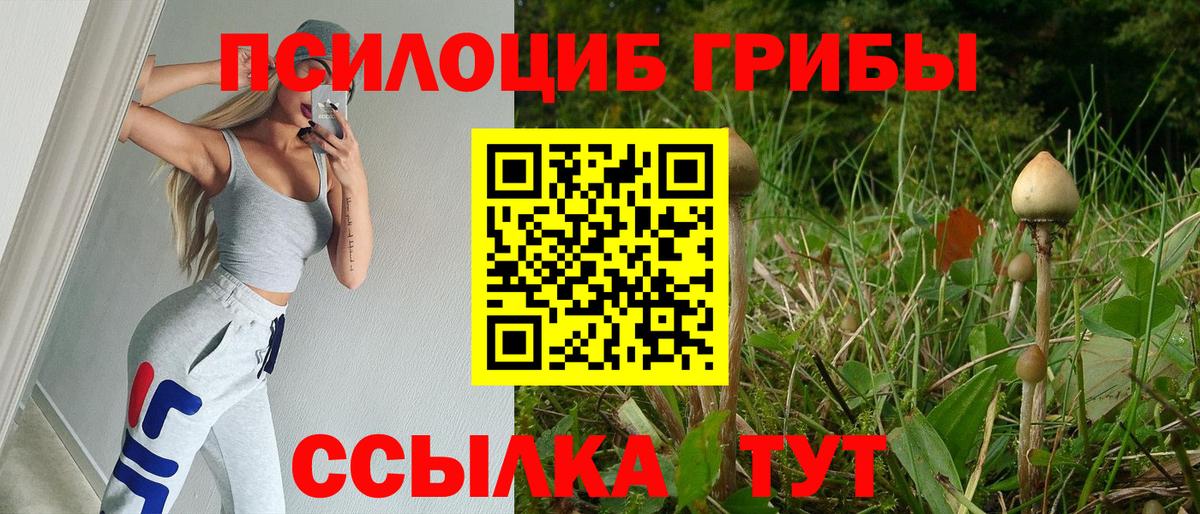 Псилоцибиновые грибы Cubensis Электросталь